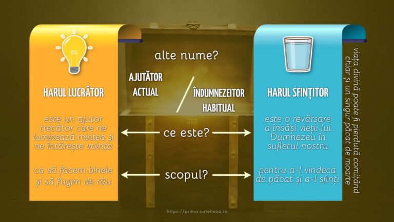 Sacramente Har LS 768x432